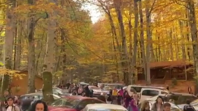 Yedigöller Milli Parkı, ziyaretçi akınına uğradı (2)