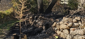 Bahçesindeki otları yakarken alevlerin arasında kalıp öldü