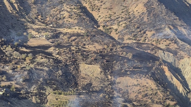 Kahramanmaraş'ta orman yangınına müdahale ediliyor