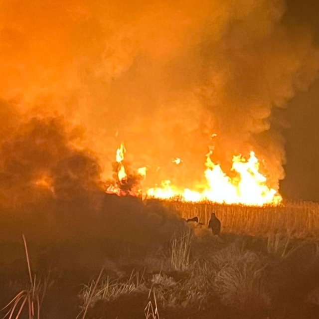 Hakkari'de kuş cennetinde yangın