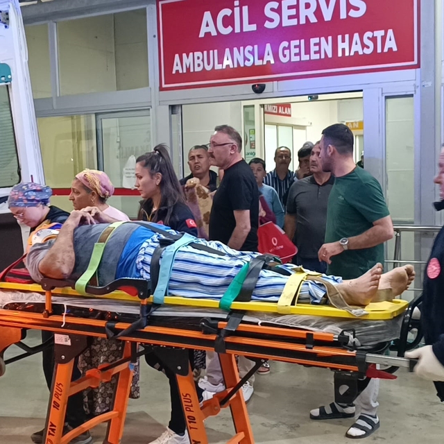 Zeytin bahçesindeki tepeden düşüp, yaralandı