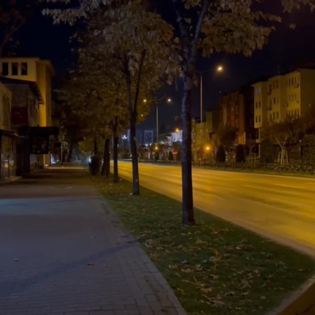 Balıkesir'de meydana gelen deprem Bursa'da da hissedildi