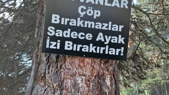 Ormanlık alanda çöp yığınları