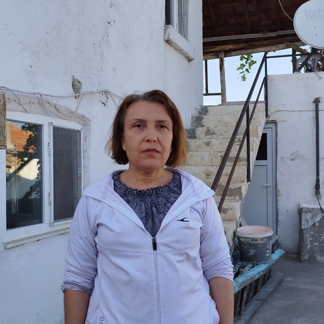 Evin çatısına yuva yapan eşek arıları hastanelik etti