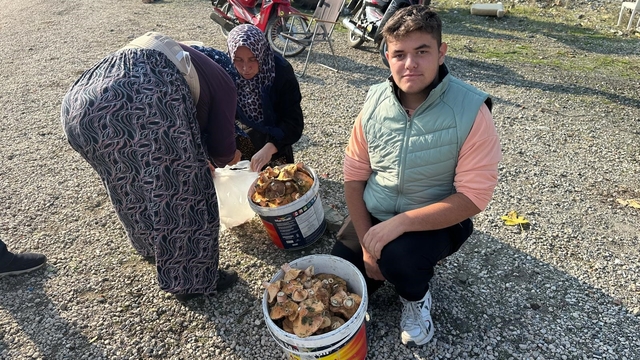 Okul harçlığını "kanlıca"dan çıkarıyor