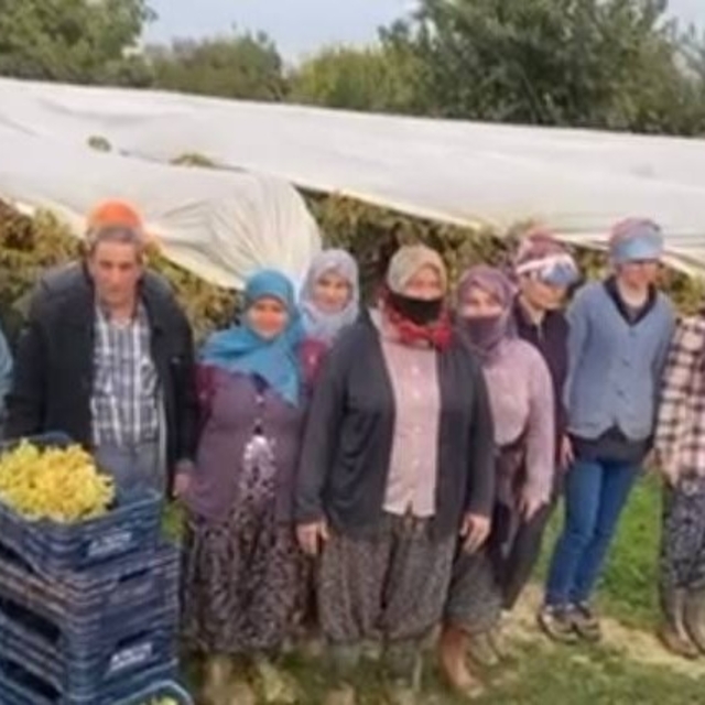 Bağlarda siren sesi yankılandı
Alaşehir'de üzüm bağlarındaki işçilerden say...
