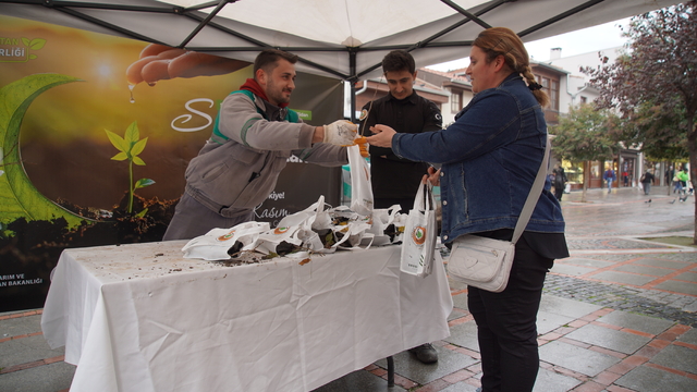 Edirne'de 1000 ıhlamur fidanı dağıtıldı