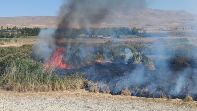 Prof. Dr. Lokman Aslan: "Sulak alanlar tabiatın rahimleridir"