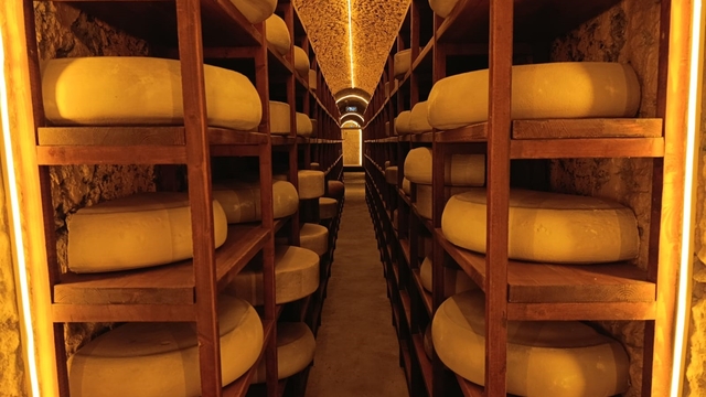 Kars Peynir Müzesi yoğun ilgi görüyor
Tematik Müzeyi 11 ayda 82 bin kişi ziyaret etti