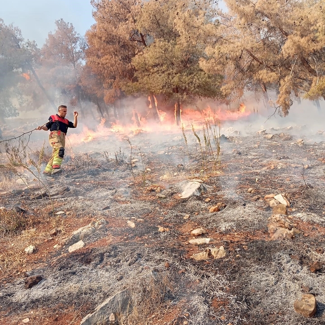 Antakya'da orman yangını