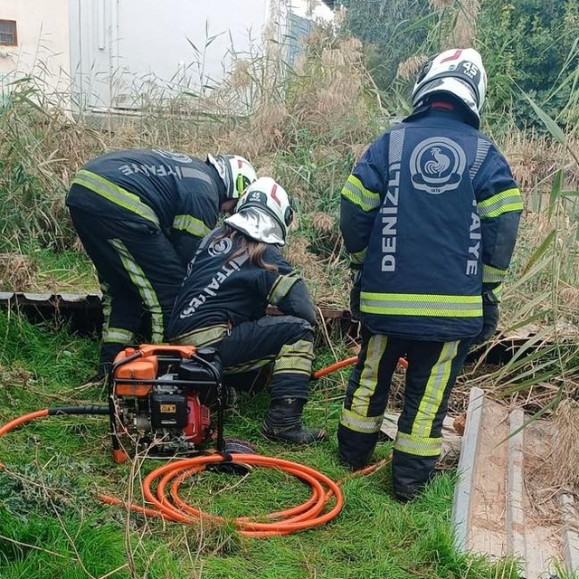 Fosseptik çukuruna düşen köpek kurtarıldı