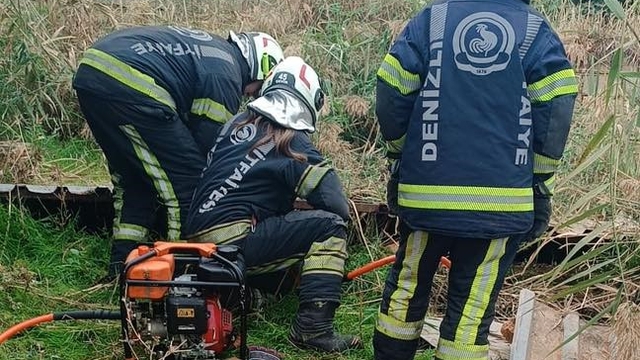Fosseptik çukuruna düşen köpek kurtarıldı