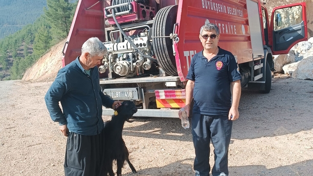 Feke ilçesinde kayalıklarda mahsur kalan keçiyi itfaiye ekibi kurtardı
