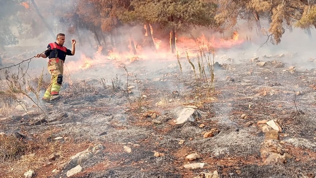 Hatay'da makilikten ormanlık alana sıçrayan yangın söndürüldü
