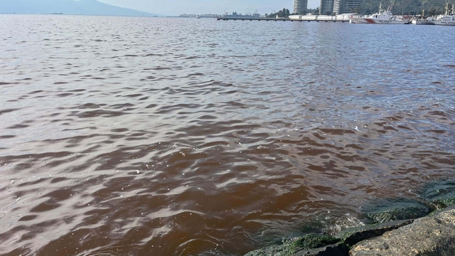 İzmir Körfezi'nde kötü koku sürüyor; denizin rengi kahverengiye döndü