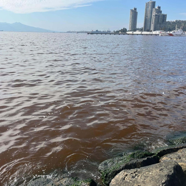İzmir Körfezi'nde kötü koku sürüyor; denizin rengi kahverengiye döndü