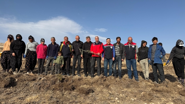 Sivas'ta meralar on binlerce tuz çalısı ile yeşerecek