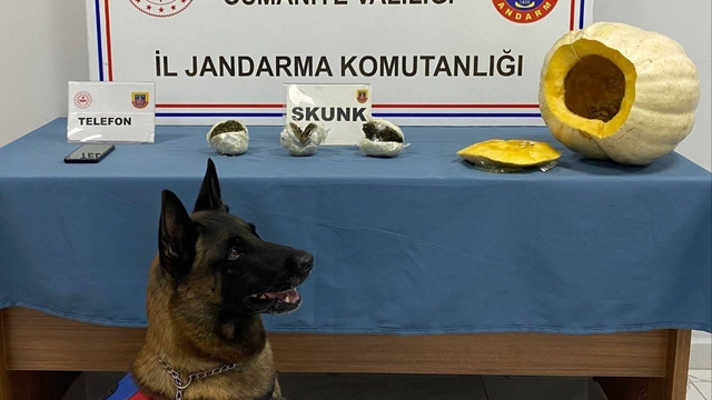 Osmaniye'de bal kabağının içine uyuşturucu gizleyen zanlı tutuklandı