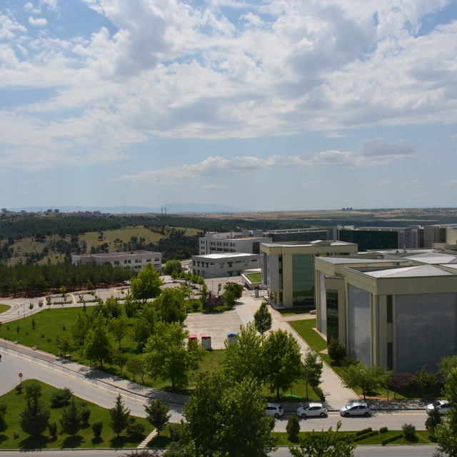 Uşak Üniversitesi, CWTS Leiden Rankings Open Edition 2025'te yerini aldı