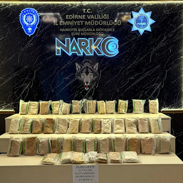 Kapıkule'de TIR'dan 66 kilo 400 gram uyuşturucu hammaddesi ele geçirildi