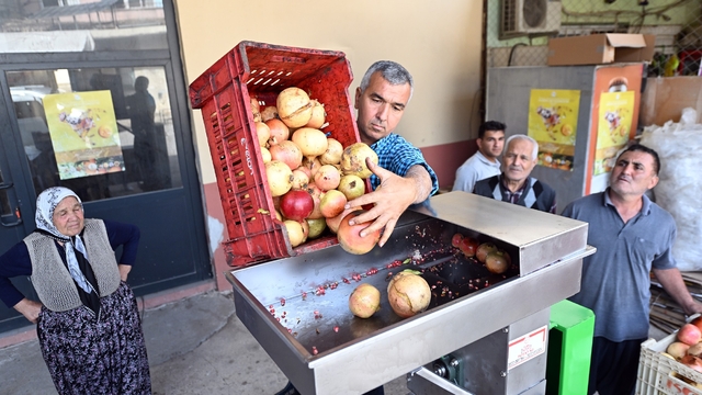Mersin'de nar üreticilerine makine desteği