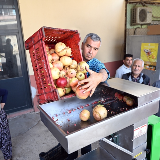 Mersin'de nar üreticilerine makine desteği
