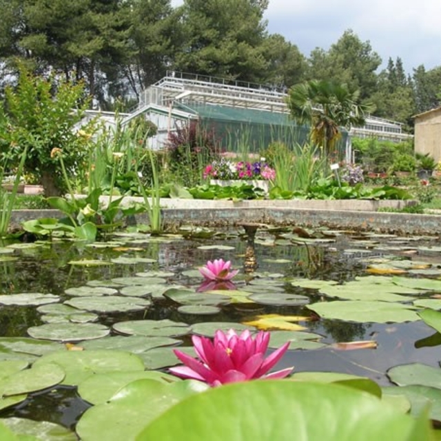 Ege Üniversitesinin endemik tür cenneti: Botanik Bahçesi