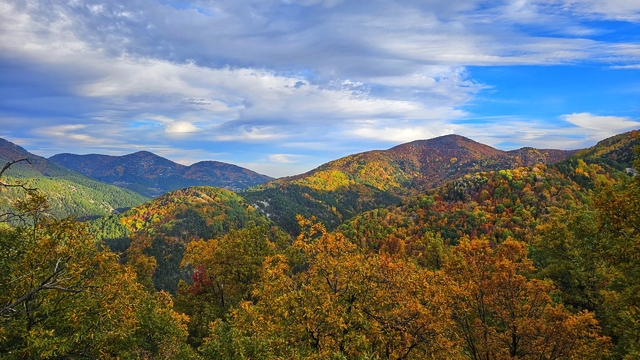Amanos yaylalarında sonbahar manzarası