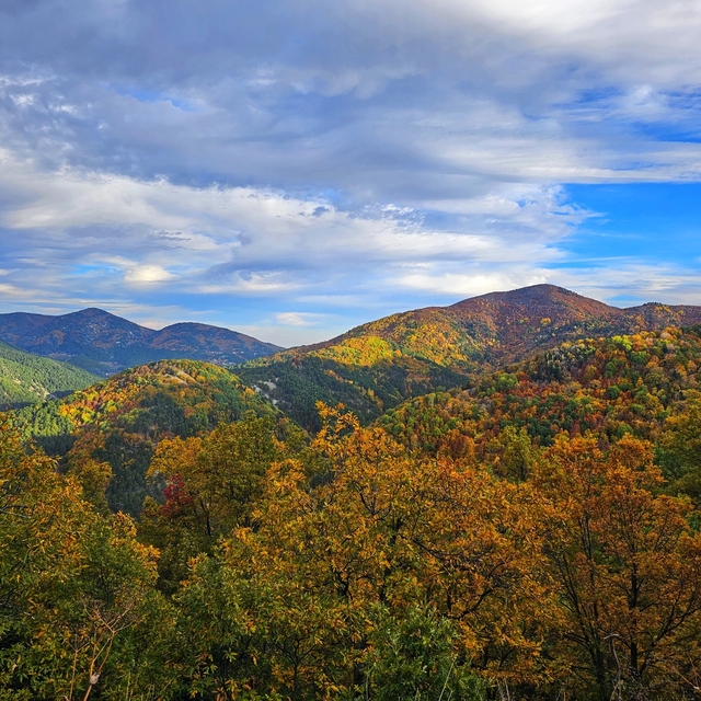 Amanos yaylalarında sonbahar manzarası