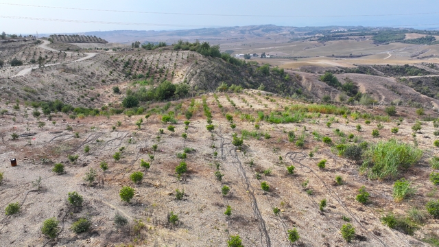 Emekli mühendis 156 dönümlük atıl araziyi fidanlarla yeşertti