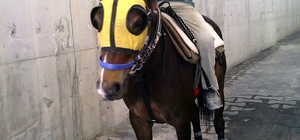 Atına yem götürürken kazada yaralanan seyis, 8 günlük yaşam mücadelesini ka...