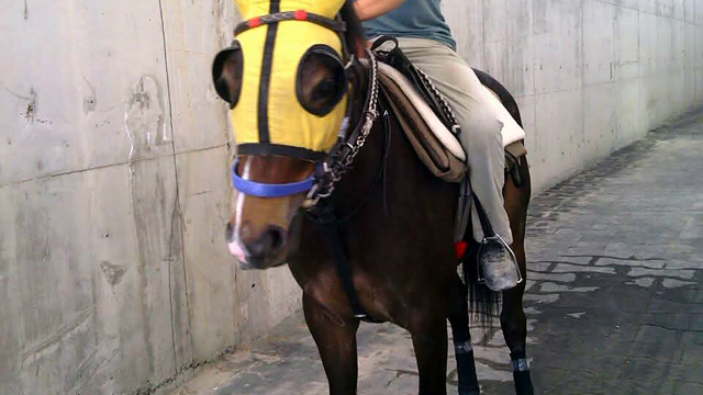 Atına yem götürürken kazada yaralanan seyis, 8 günlük yaşam mücadelesini kaybetti