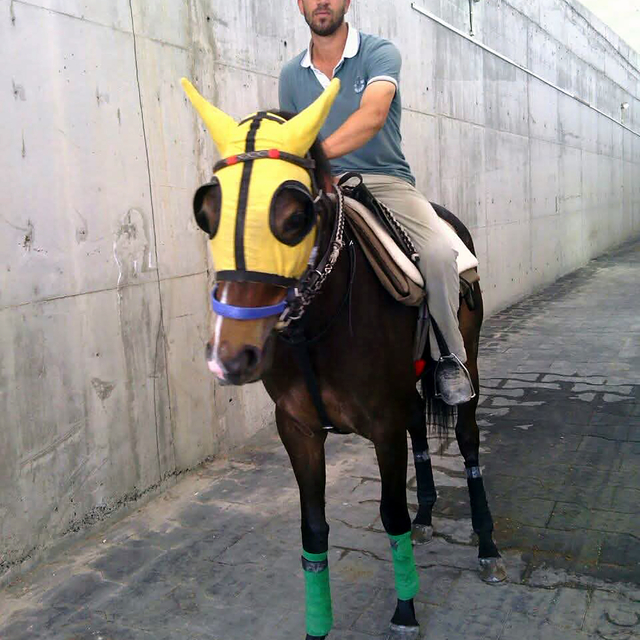 Atına yem götürürken kazada yaralanan seyis, 8 günlük yaşam mücadelesini ka...