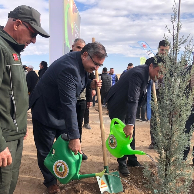 11 Kasım Milli Ağaçlandırma Günü'nde 20 bin fidan dikildi