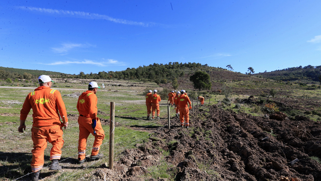Manisa'da hükümlüler ormanların geleceği için görevde