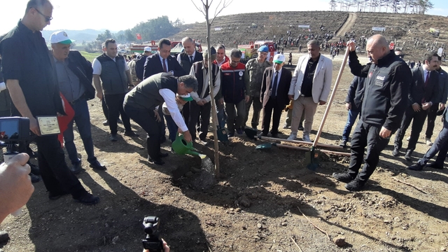Bolu'da yanan orman yeniden yeşeriyor