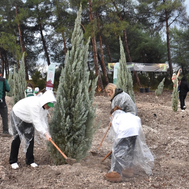 İzmir'de 115 bin adet fidan toprakla buluşturuldu