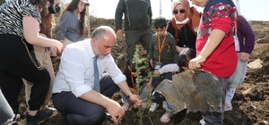 Canik'te fidanlar toprakla buluştu