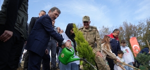 Samsun'da Milli Ağaçlandırma Günü: 37 bin 380 adet fidan toprakla buluştu