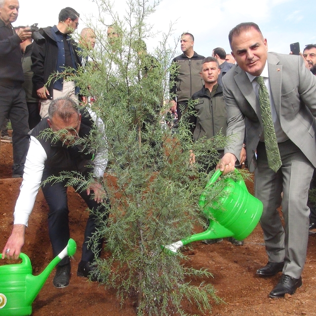 Muğla'da 33 bin fidan toprak ile buluştu