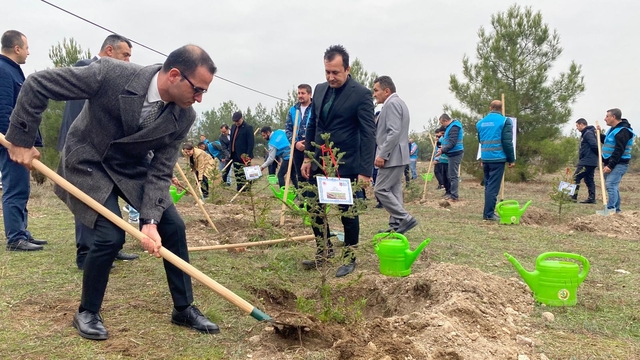 Boyabat ve Türkeli'de fidanlar toprakla buluşturuldu