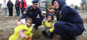 Amasya'da 4 binden fazla fidan toprakla buluştu