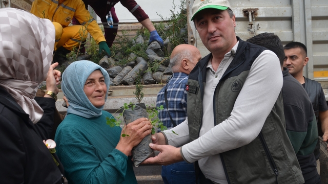 Bafra'da fidan dağıtımı
