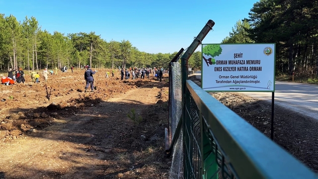 Şehit orman işçisi Enes Kızılyer anısına çeşme açılışı ve fidan dikimi yapıldı
Karabük'te binlerce fidan toprakla buluşturuldu
