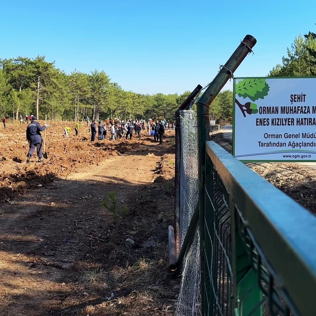 Şehit orman işçisi Enes Kızılyer anısına çeşme açılışı ve fidan dikimi yapı...