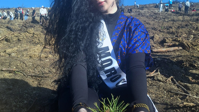 Güzellik yarışmasının Afrikalı finalistleri, Bolu'da fidan dikti