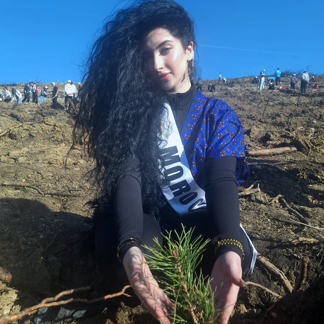 Güzellik yarışmasının Afrikalı finalistleri, Bolu'da fidan dikti