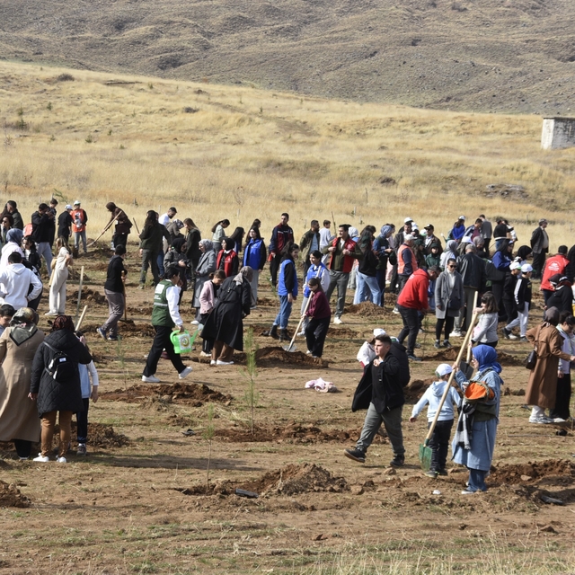 Bitlis'te milli ağaçlandırma seferberliği