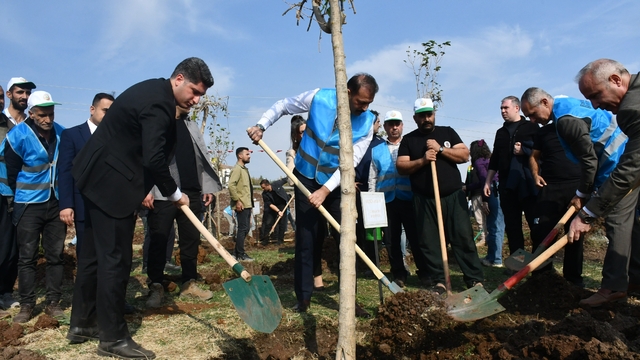Siverek'te fidanlar geleceğe nefes olacak