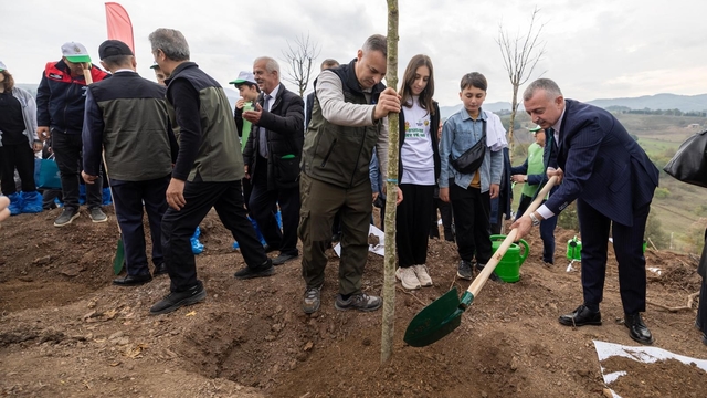 Karamürsel'de yanan bölge 3 bin fidanla yeniden yeşerecek